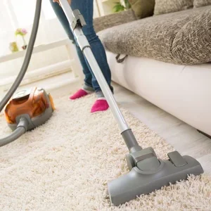 Carpet Cleaning Service