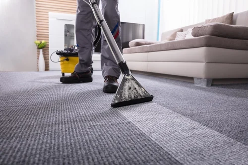 Carpet Cleaning Service - Image 2